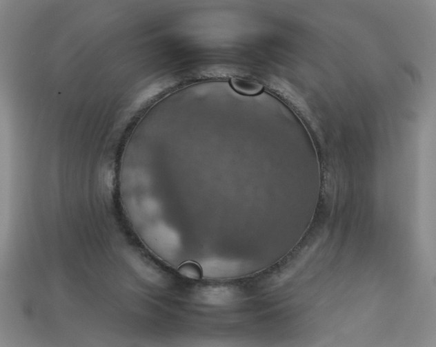 X0000113780063200910071232