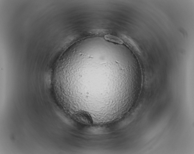 X0000113780065200910071232