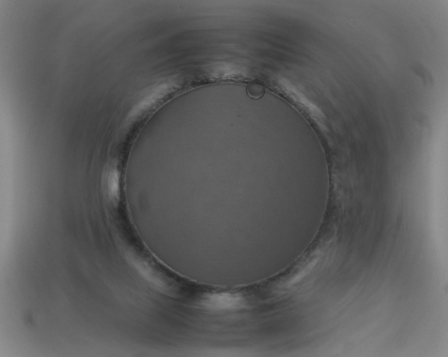 X0000113780067200910071232