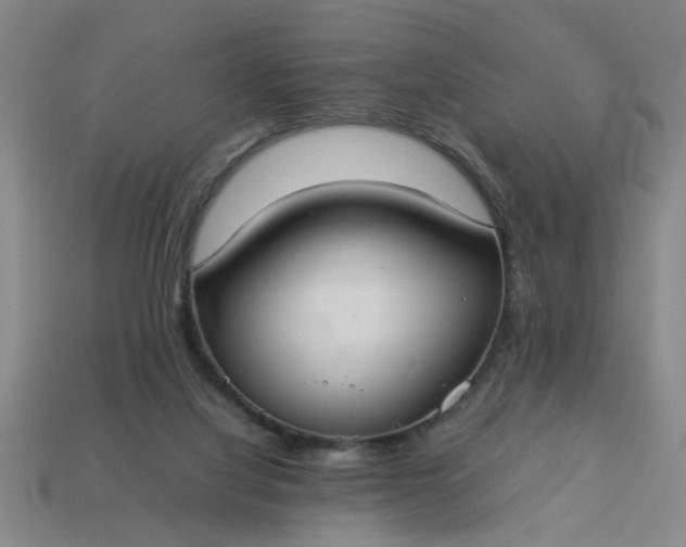 X0000113780068200910071232