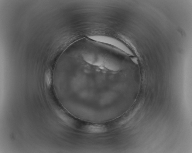 X0000113780069200910071232