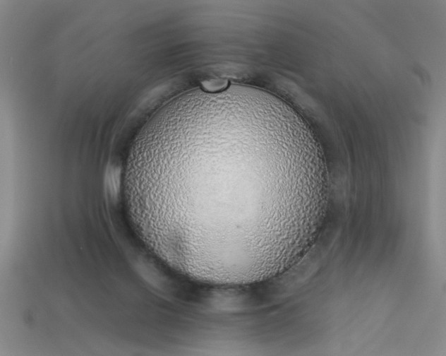 X0000113780070200910071232