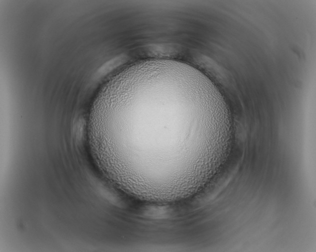 X0000113780071200910071232