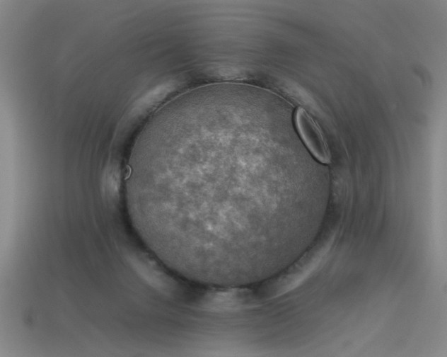 X0000113780072200910071232