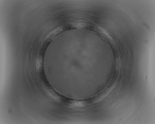 X0000113780073200910071232