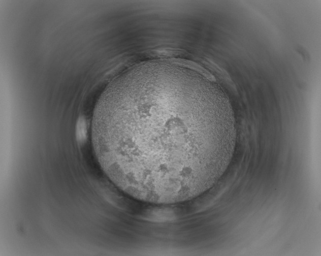 X0000113780075200910071232