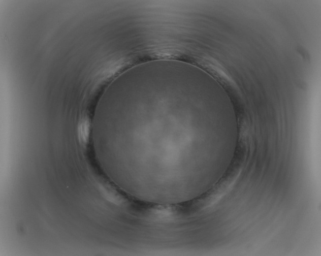 X0000113780076200910071232