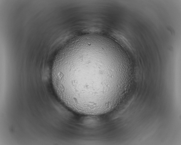 X0000113780077200910071232