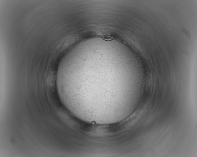 X0000113780078200910071232