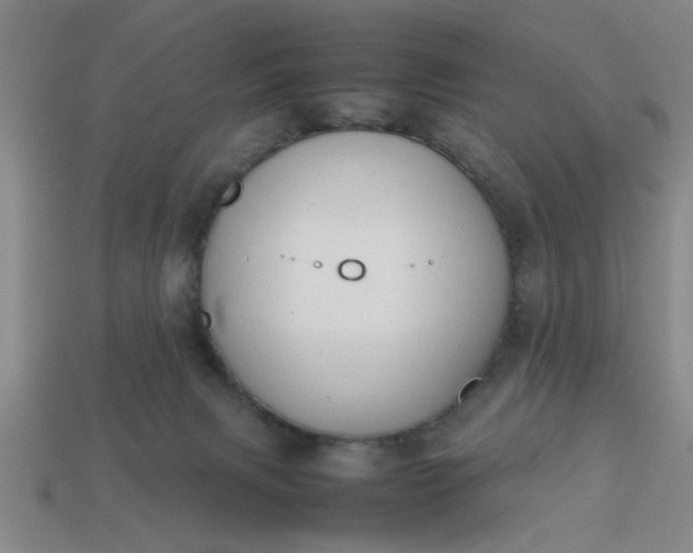 X0000113780079200910071232