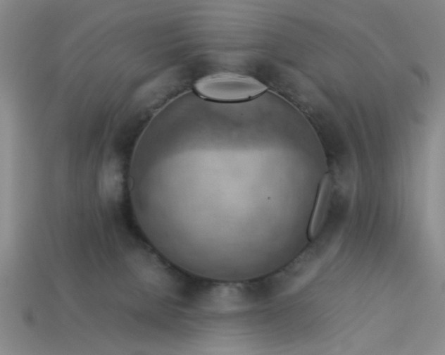 X0000113780080200910071232