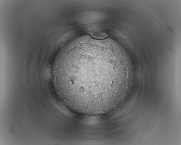 X0000113780081200910071232