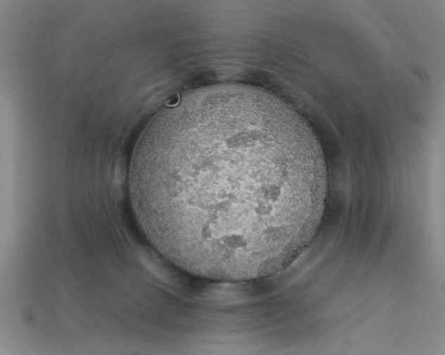 X0000113780082200910071232