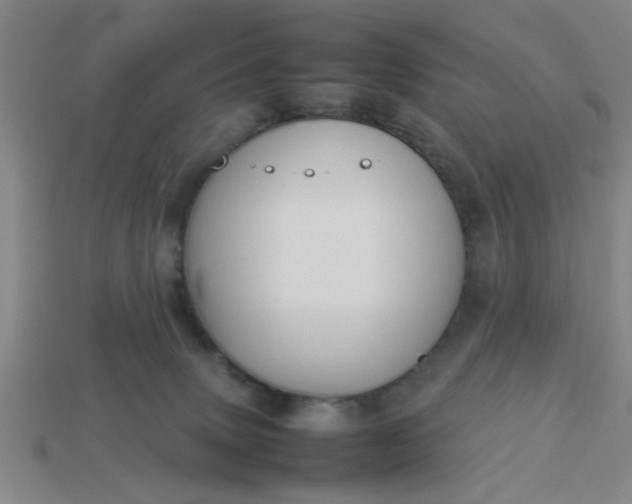 X0000113780083200910071232