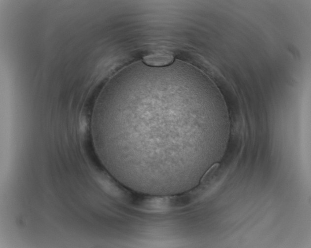 X0000113780084200910071232