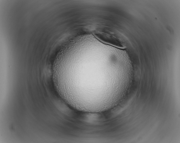 X0000113780085200910071232