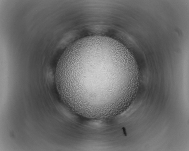 X0000113780086200910071232