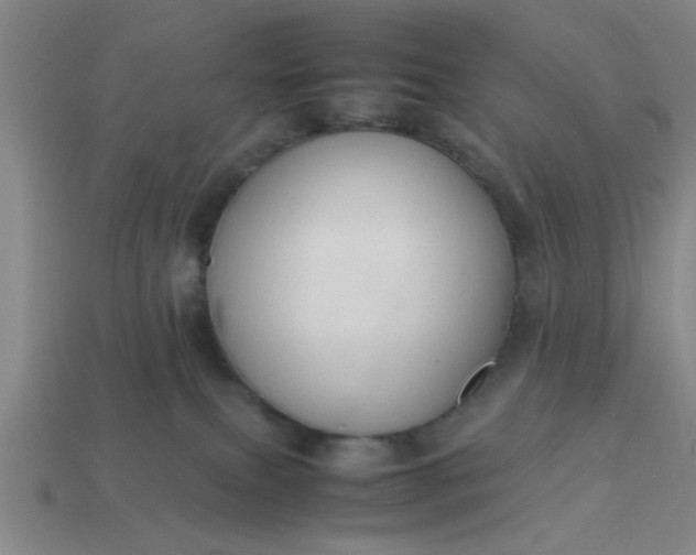 X0000113780087200910071232