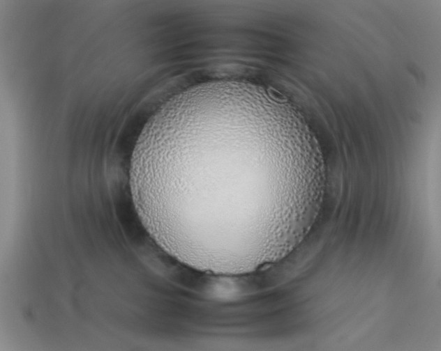 X0000113780091200910071232