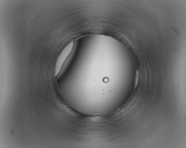 X0000113780092200910071232