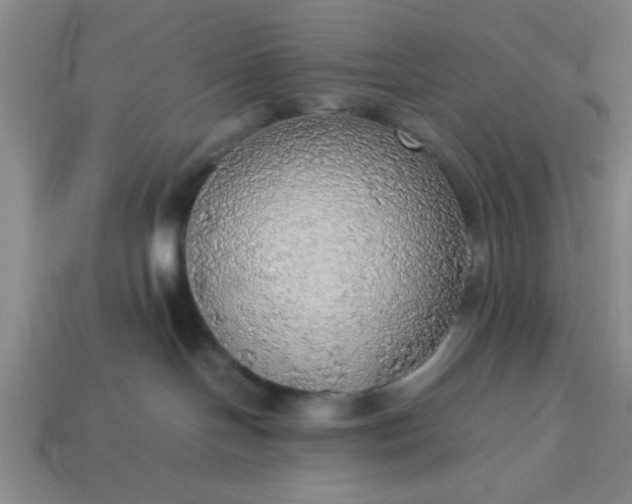 X0000113780094200910071232