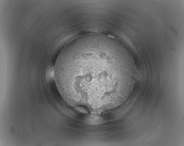 X0000113780095200910071232