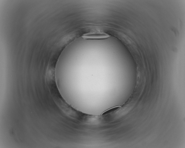 X0000113780096200910071232