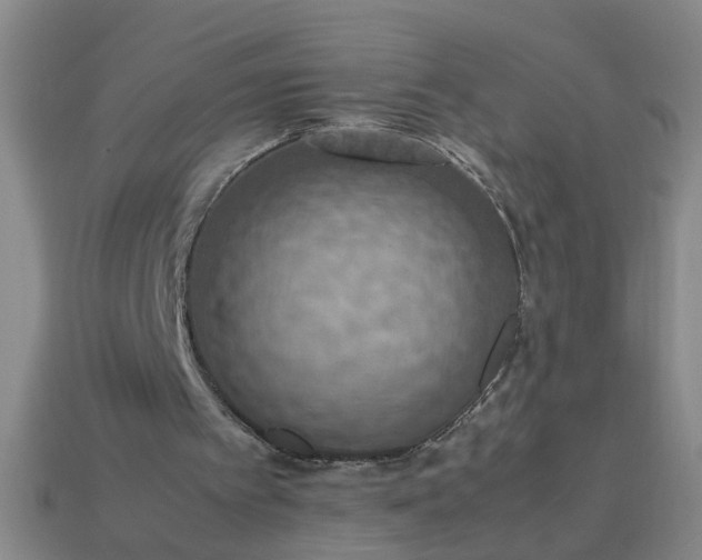 X0000113780097200910071232