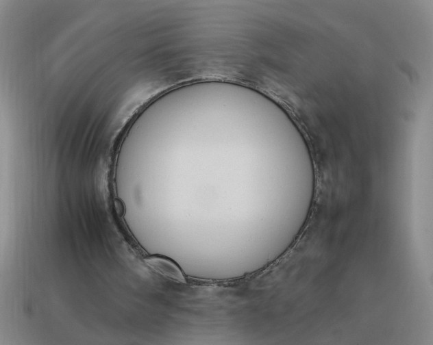 X0000113780098200910071232