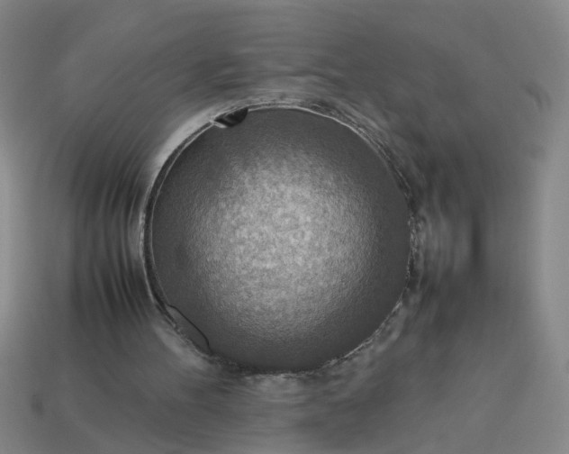 X0000113780100200910071232