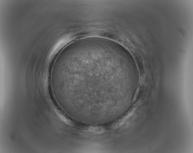 X0000113780101200910071232