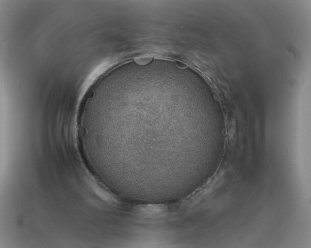 X0000113780102200910071232