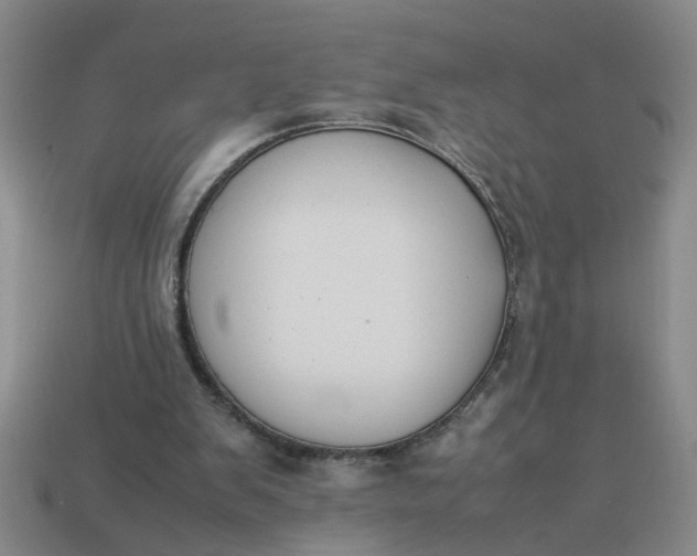 X0000113780103200910071232