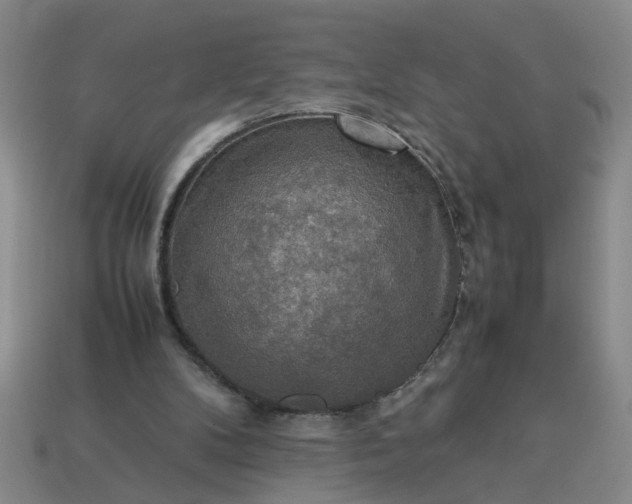 X0000113780104200910071232