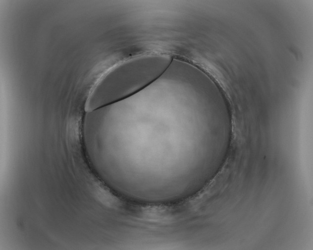 X0000113780105200910071232