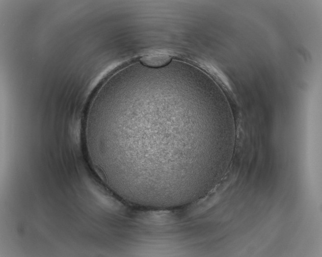 X0000113780108200910071232