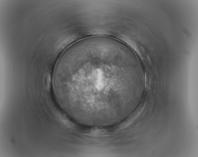 X0000113780109200910071232