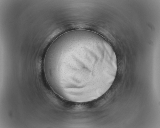 X0000113780111200910071231