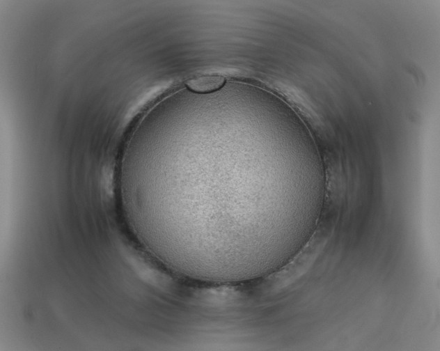 X0000113780112200910071231