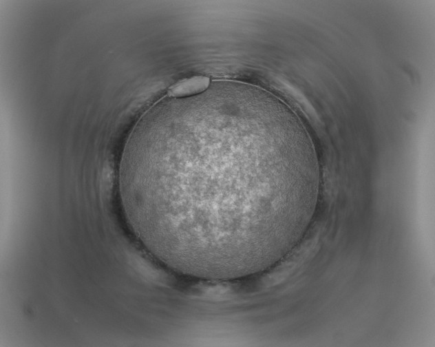 X0000113780113200910071231