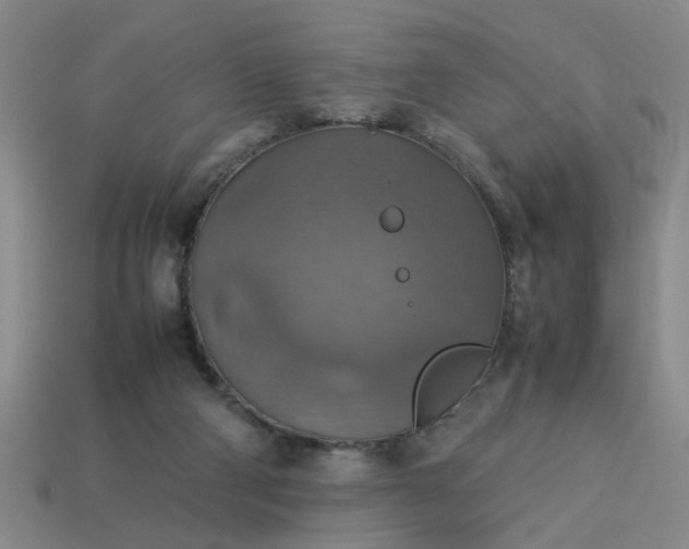 X0000113780114200910071231