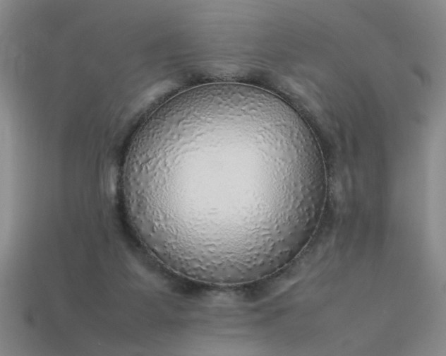 X0000113780115200910071231