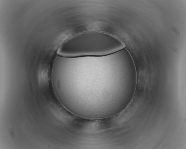 X0000113780116200910071231