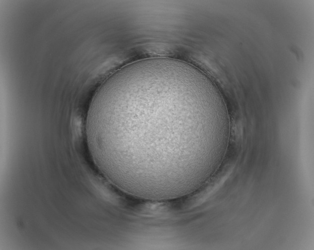 X0000113780117200910071231