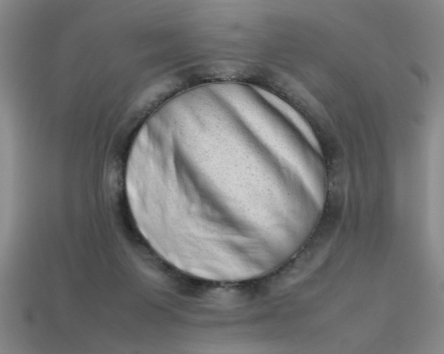 X0000113780119200910071231