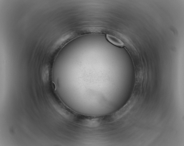 X0000113780120200910071231