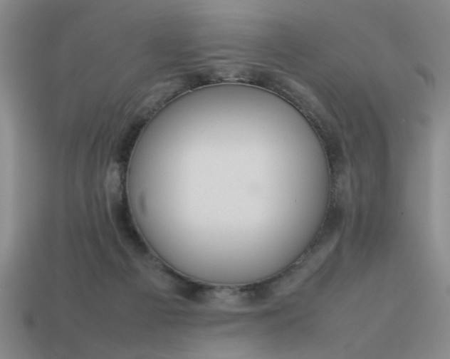 X0000113780121200910071231