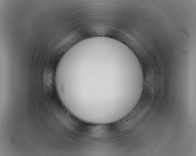 X0000113780122200910071231