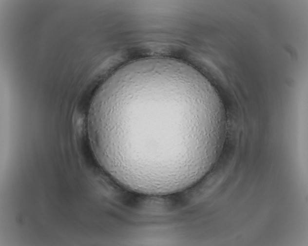 X0000113780123200910071231