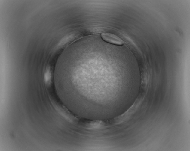 X0000113780124200910071231